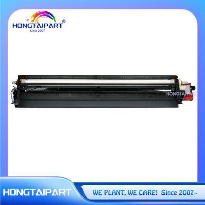 ซื้อ หน่วยพัฒนาสีดํา D177-3025 D177-3026 D177-3027 D177-3028 D177-3020 D177-3021 D177-3022 D177-3023 สําหรับ Ricoh MP C2003 C2503 สินค้าเครื่องพิมพ์สํานักงาน การผลิตออนไลน์